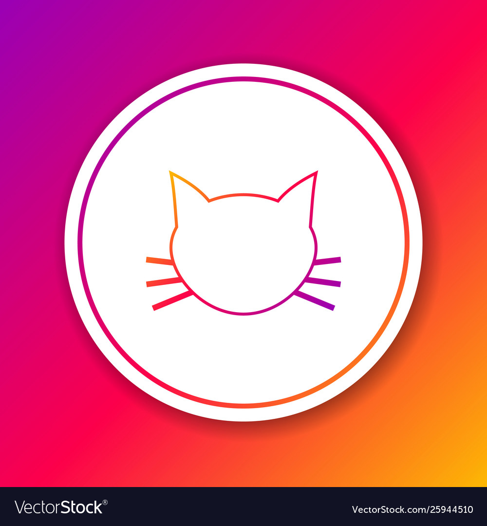 Color cat line icon isolated on background