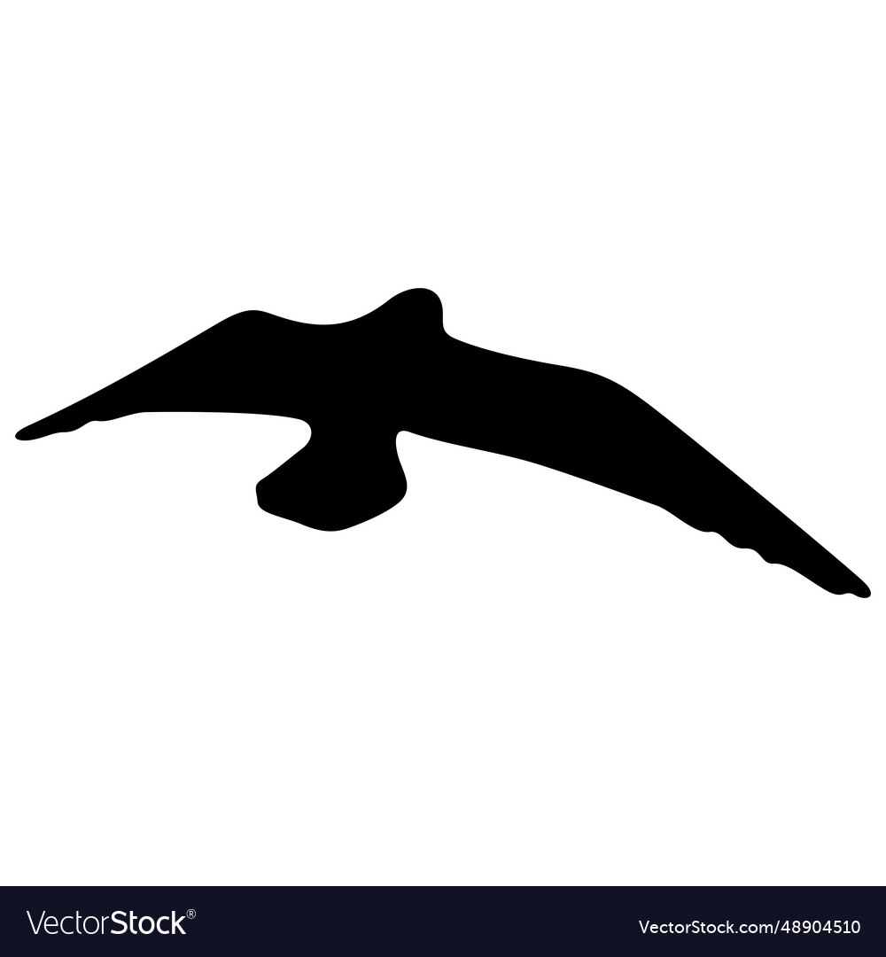 Flying Bird Realistic Silhouette Royalty Free Vector Image