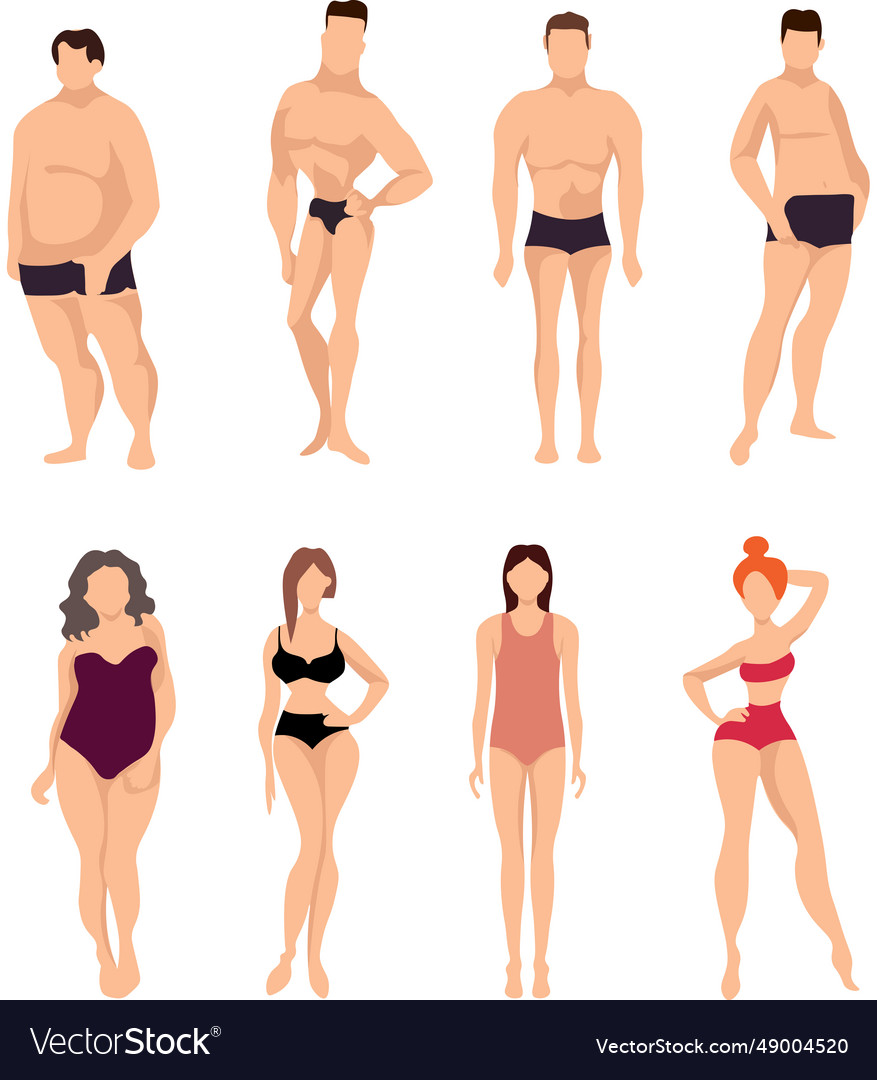 Male And Female Body Types Royalty Free Vector Image