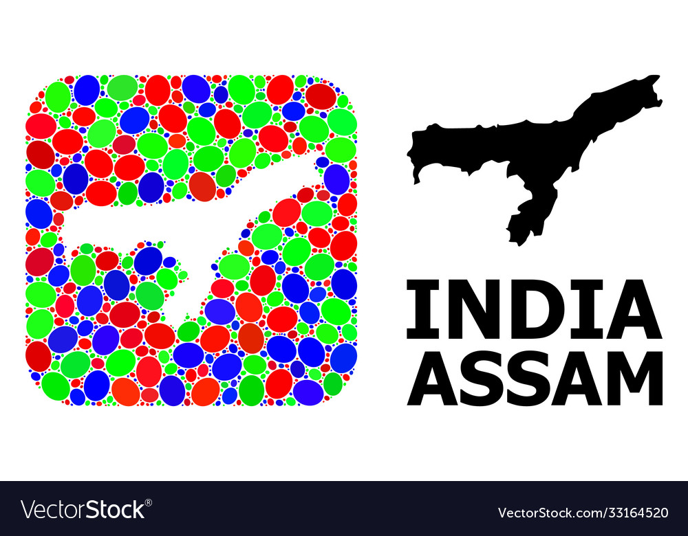 Mosaic stencil and solid map assam state