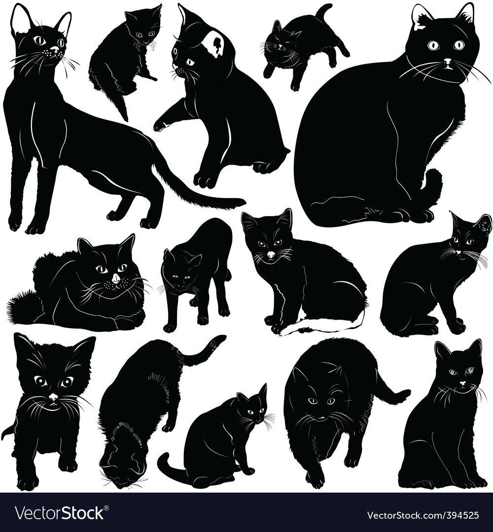 Cat Royalty Free Vector Image Vectorstock