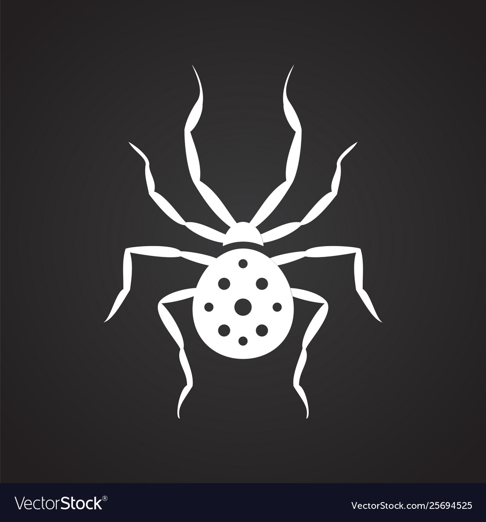 Spider related icon on background for graphic