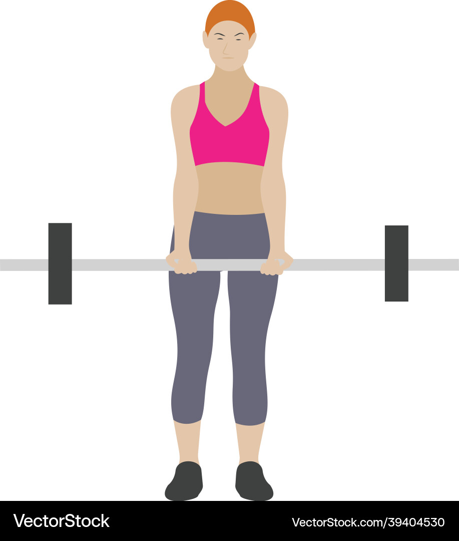 Barbells exercise Royalty Free Vector Image - VectorStock