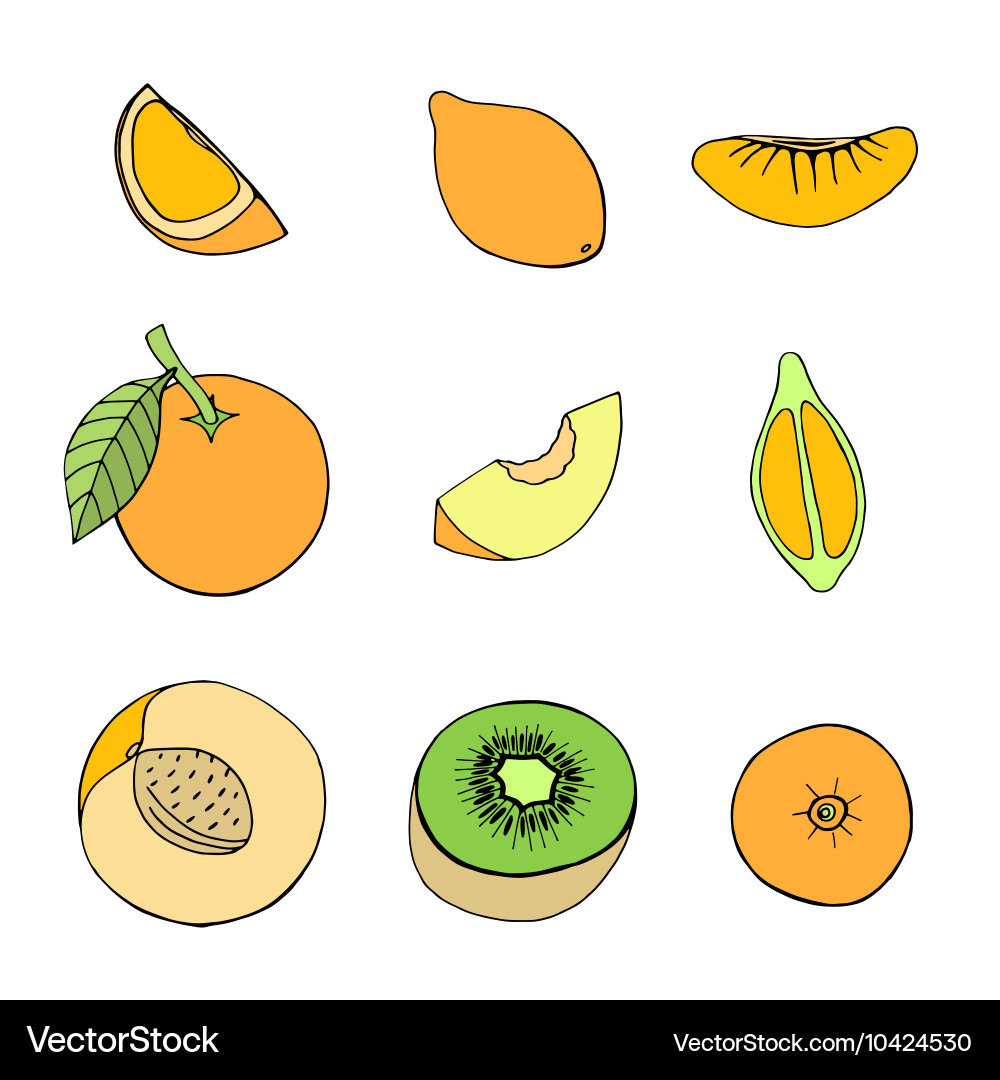 Fruit icon set Royalty Free Vector Image - VectorStock
