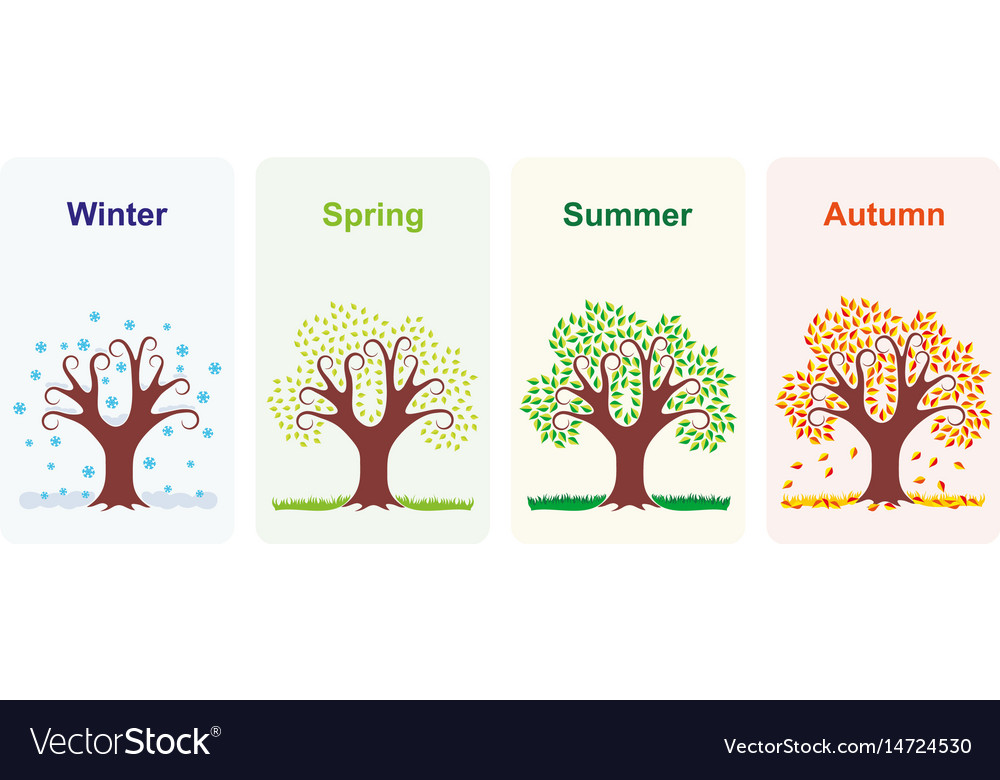 Tree In Four Seasons Royalty Free Vector Image