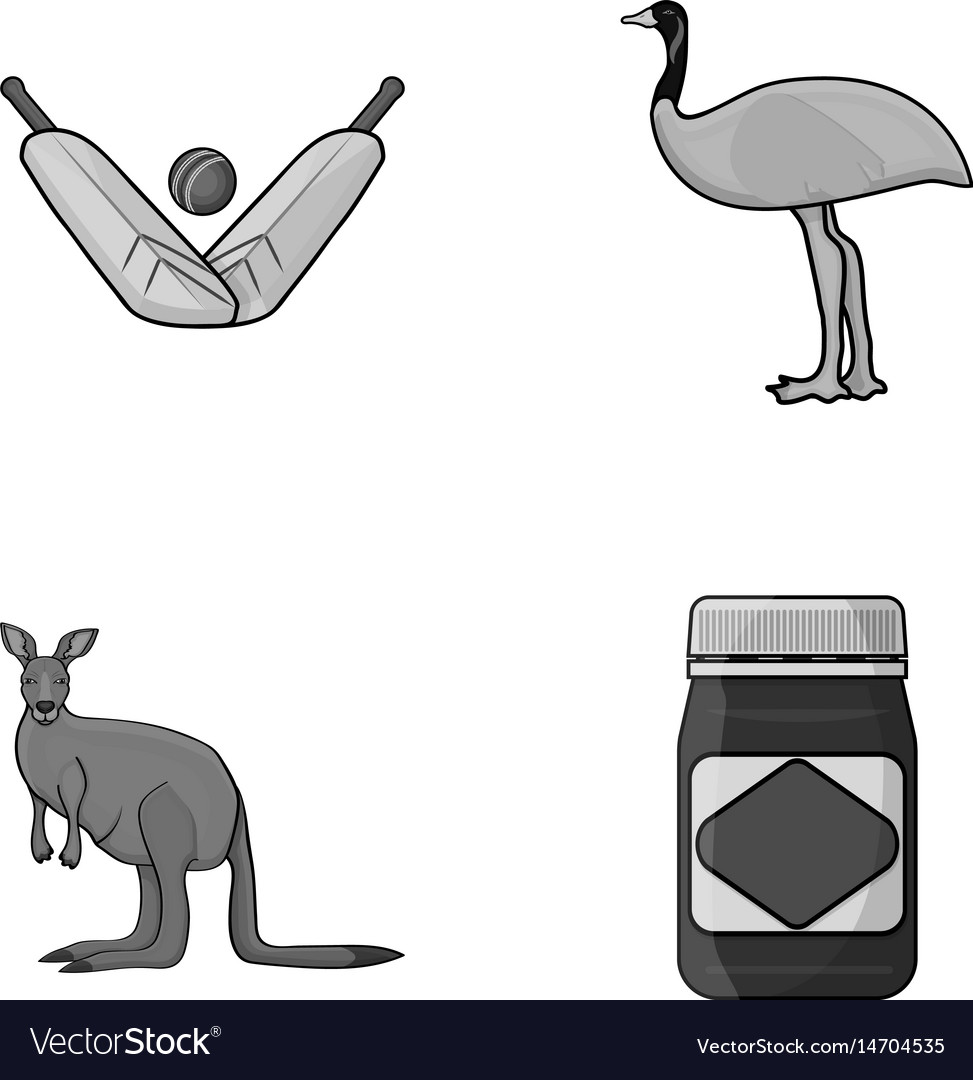 A game of cricket an emu ostrich kangaroo