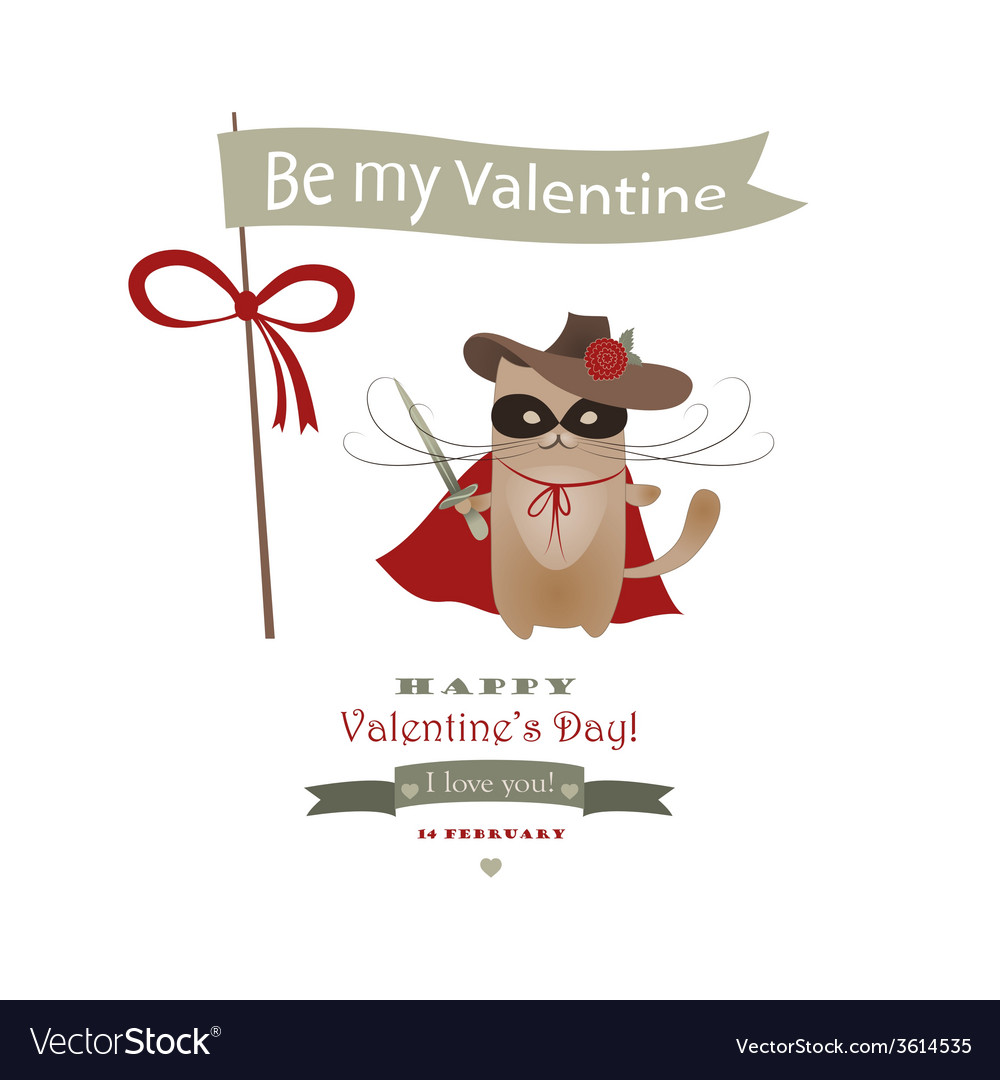 Funny cat zorro valentine