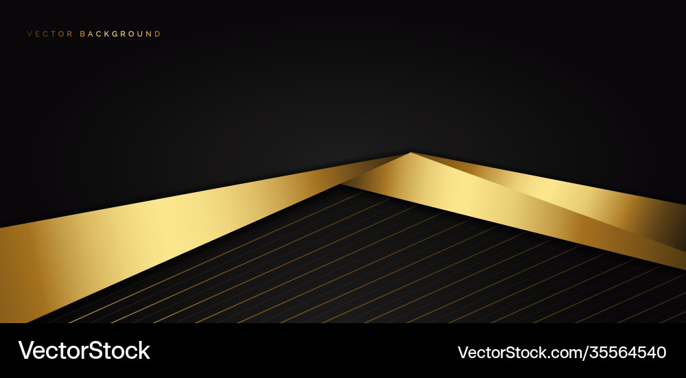 Abstract template black triangle background Vector Image