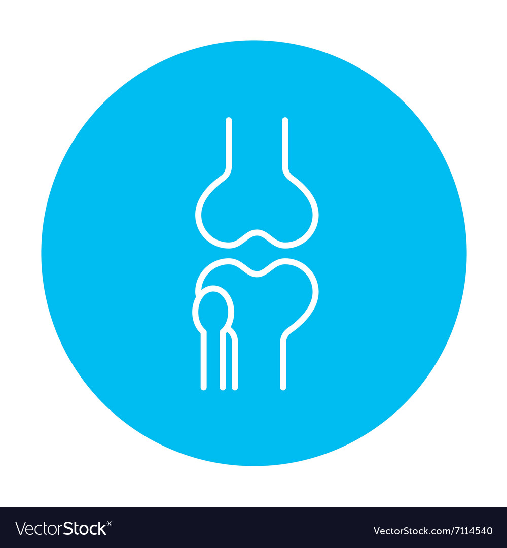 Knee joint line icon Royalty Free Vector Image