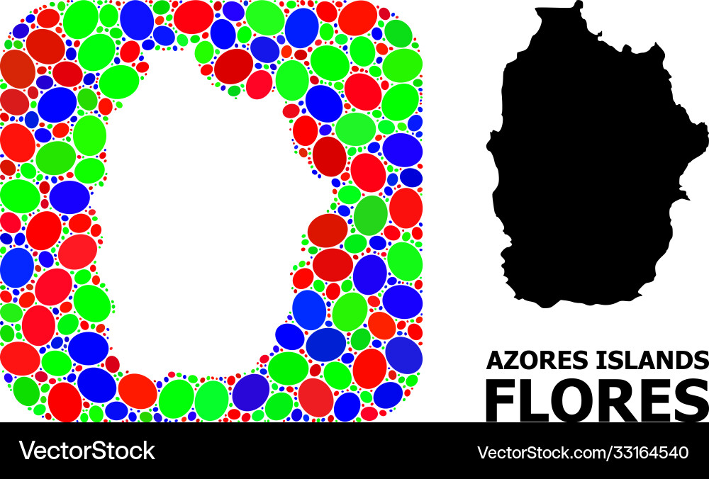 Mosaic stencil and solid map azores - flores Vector Image