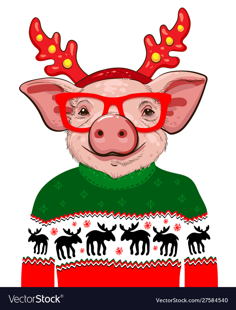 Pig in a santa s christmas sweater happy