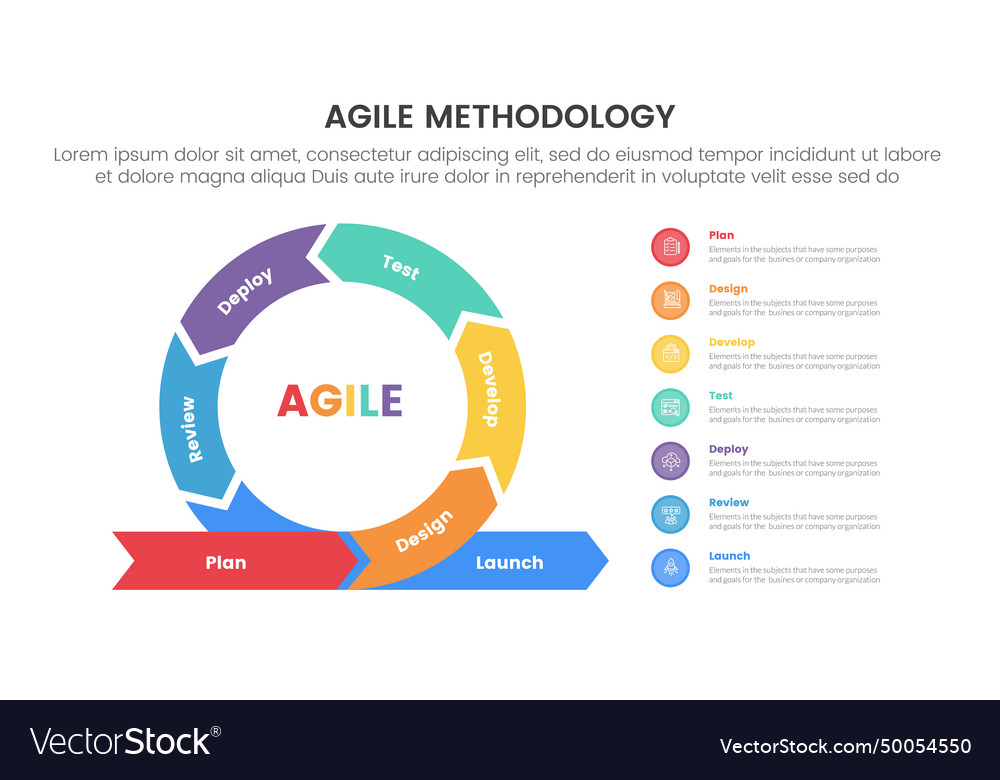 Agile sdlc methodology infographic 7 point stage Vector Image