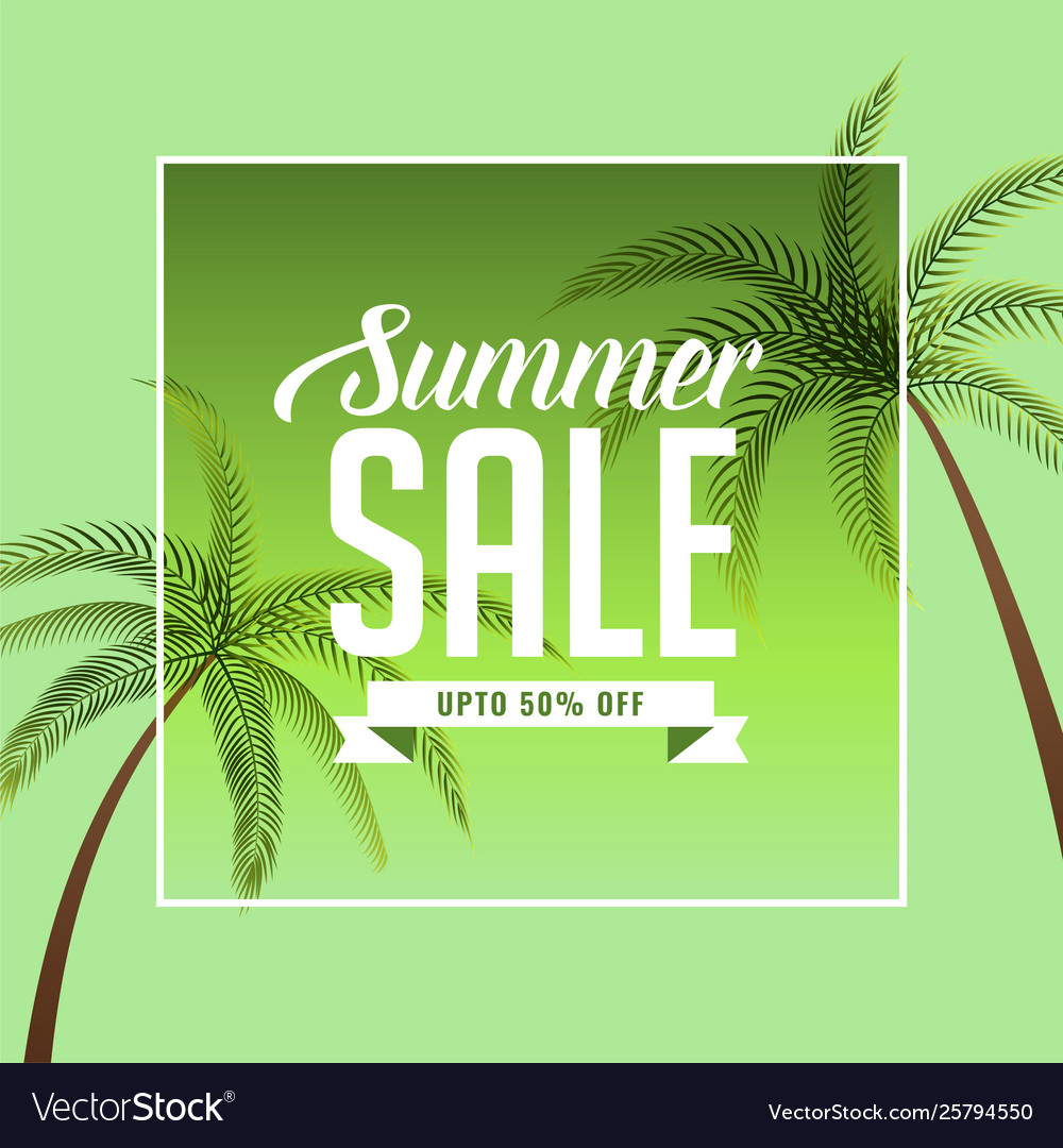 Summer sale background with palm tree