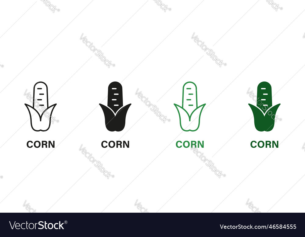 Corn line and silhouette icon set maize grain