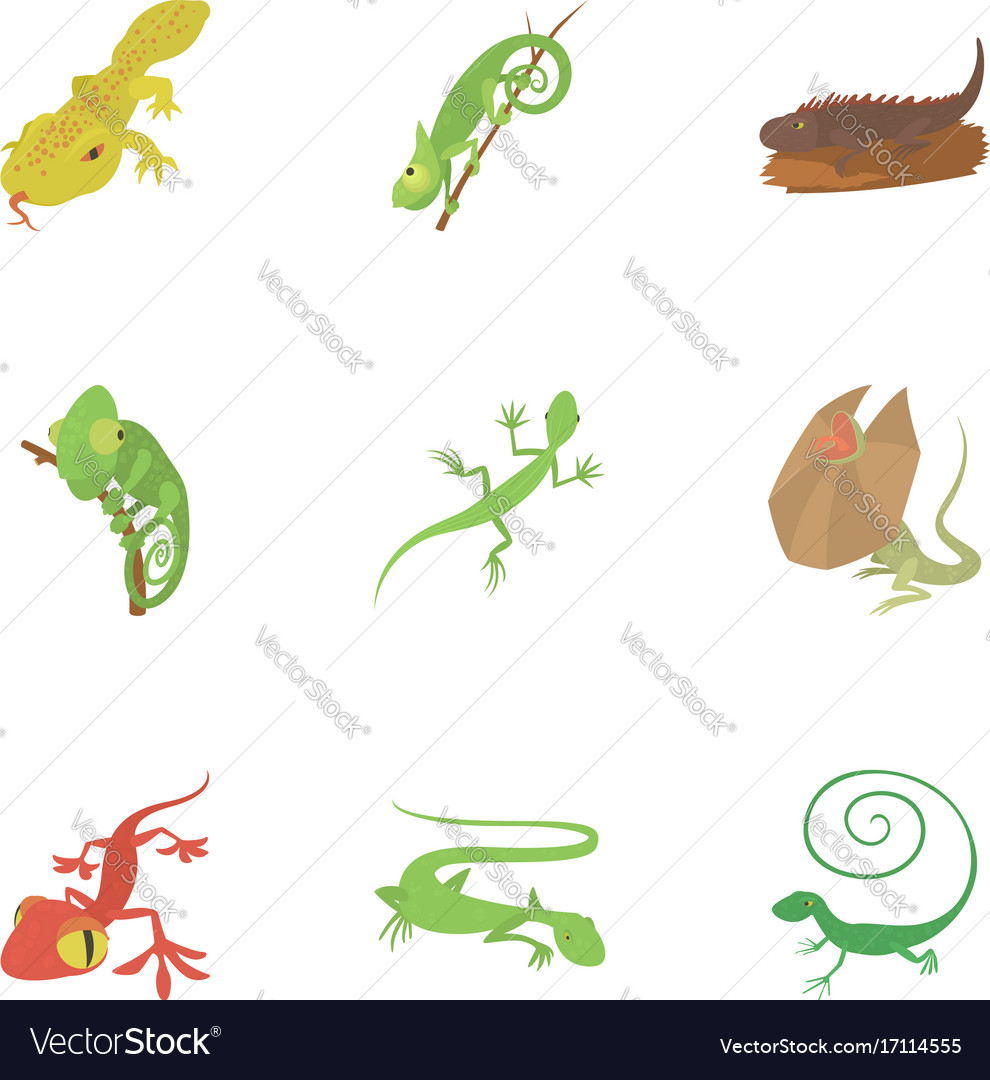 Different lizard icons set cartoon style Vector Image