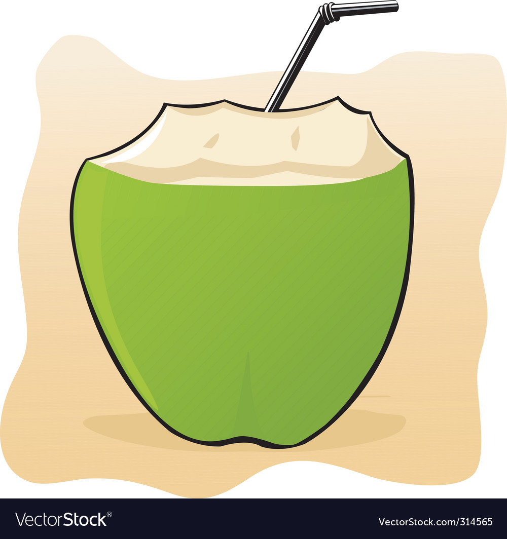 Coconut Royalty Free Vector Image - VectorStock