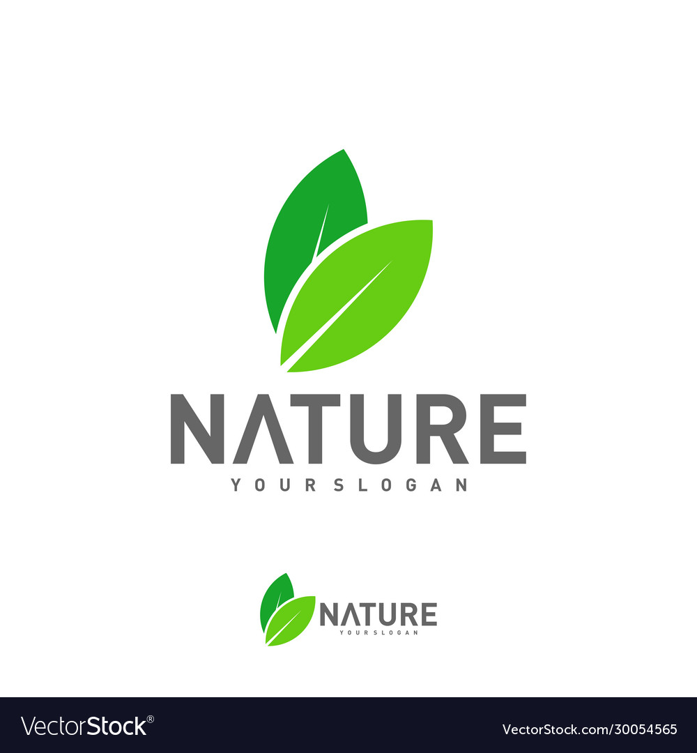 Leaf logo design template nature logo design Vector Image