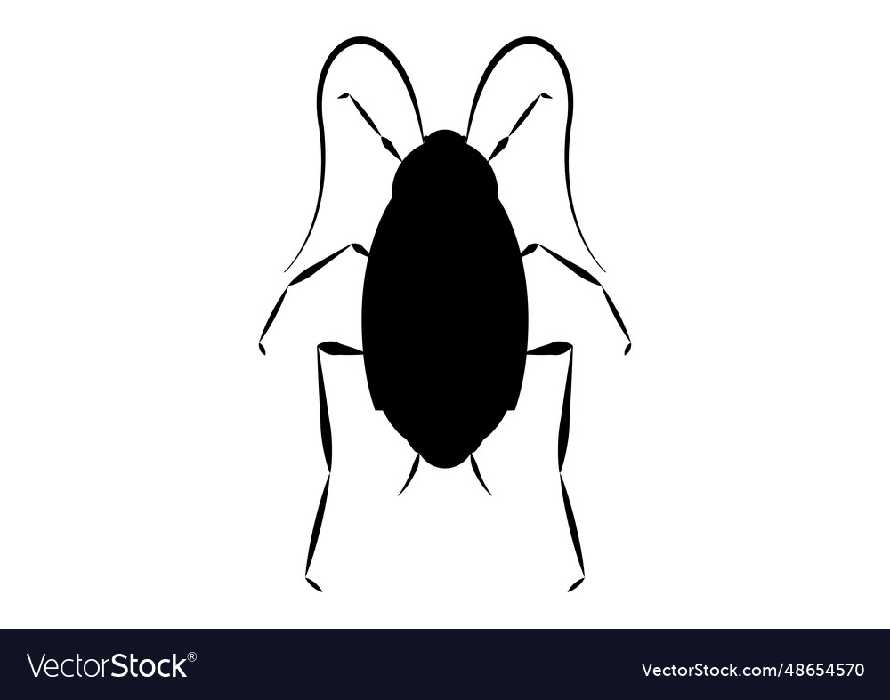 Black and white oriental cockroach clipart