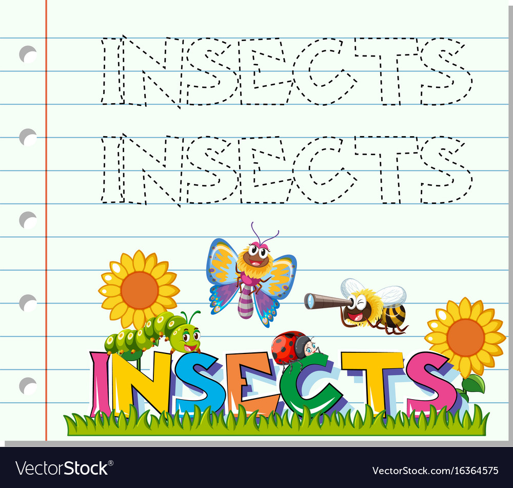 Tracing worksheet for word insects