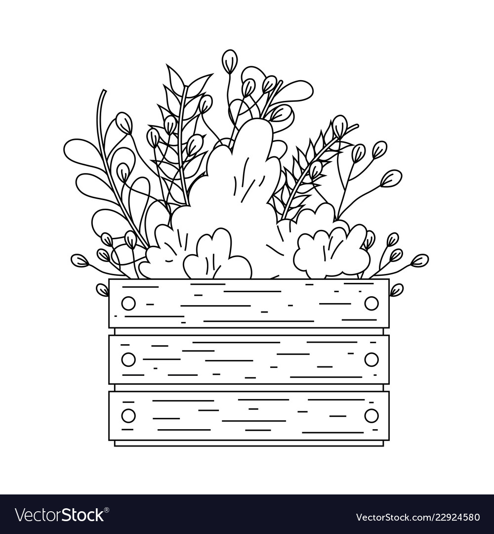 Garden wooden box with flowers