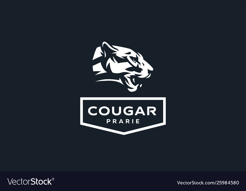 Image a cougar or panther
