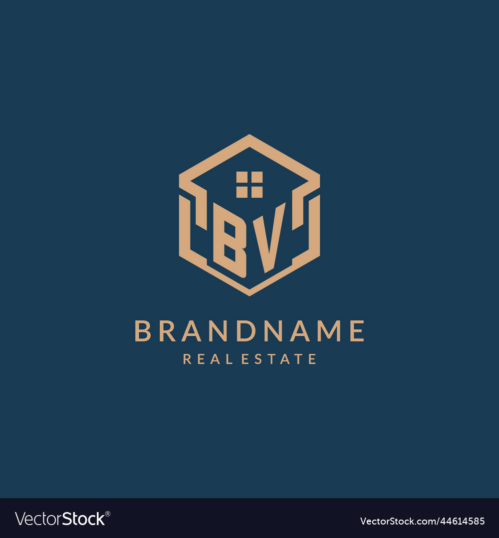 Initial letter bv hexagonal house roof shape icon