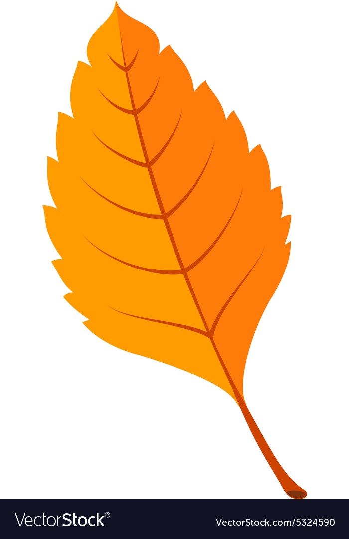 Autumn bright fall leaf Royalty Free Vector Image