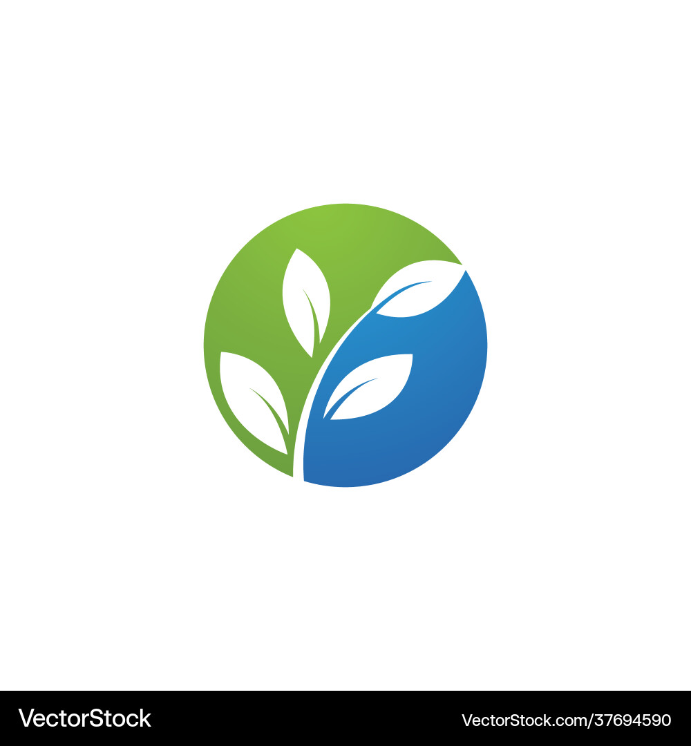 Green leaf Royalty Free Vector Image - VectorStock
