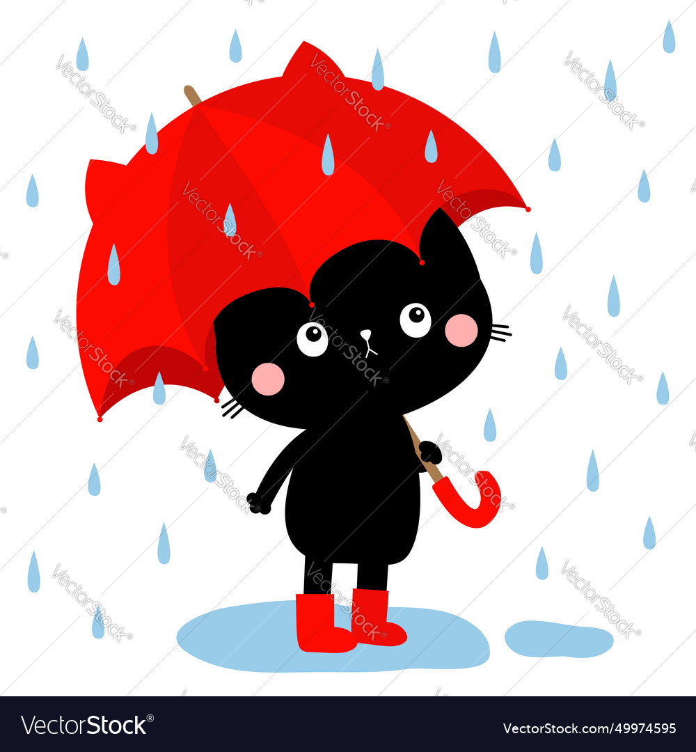 Cute black cat kitty kitten with red umbrella Vector Image