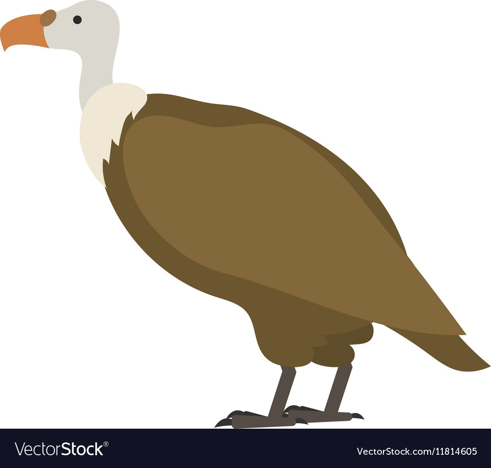 Flat bird isolated on white background beautiful