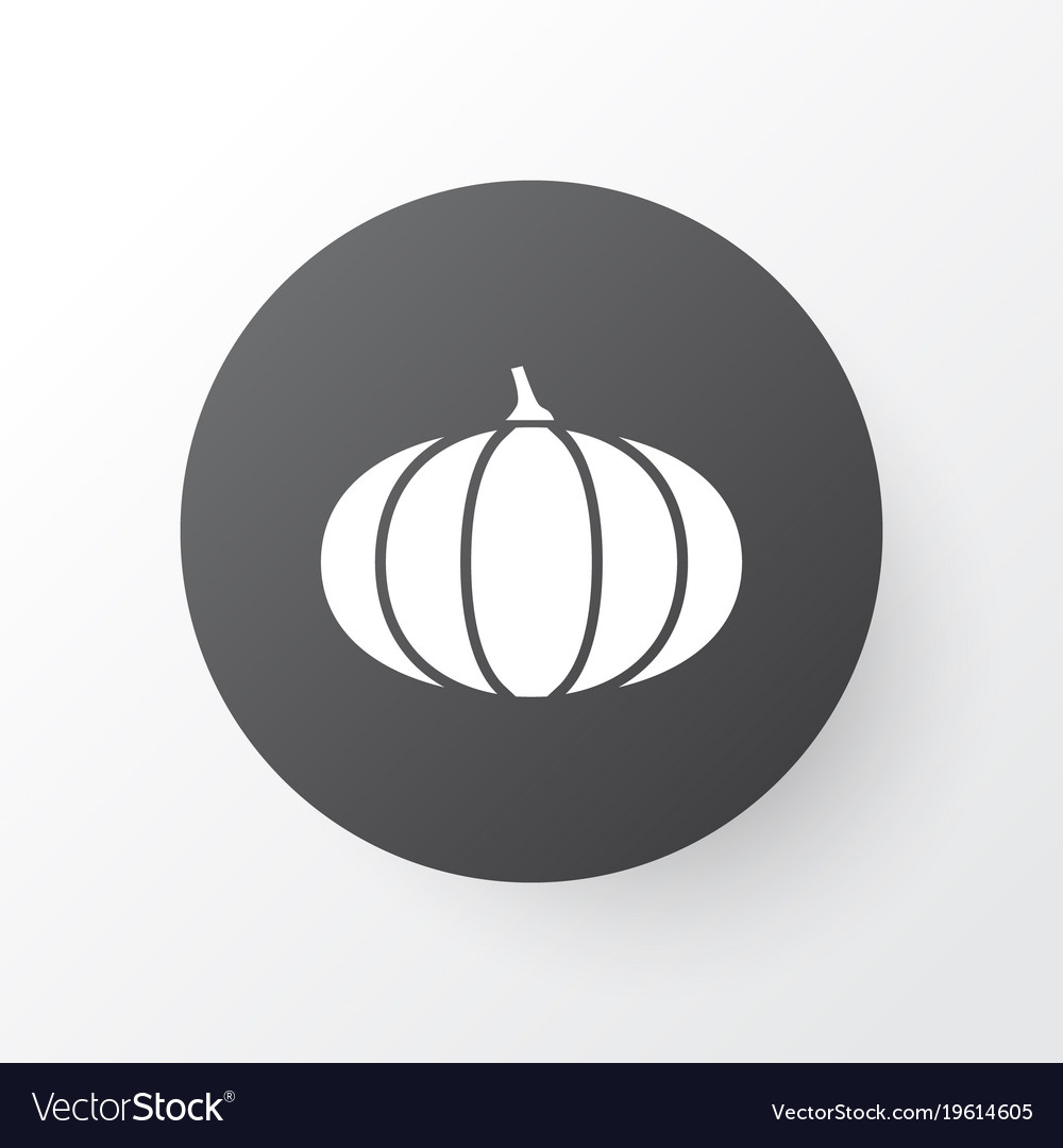 Pumpkin icon symbol premium quality isolated