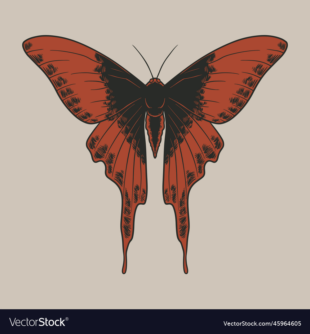 Vintage of butterflies in engraving style hand Vector Image