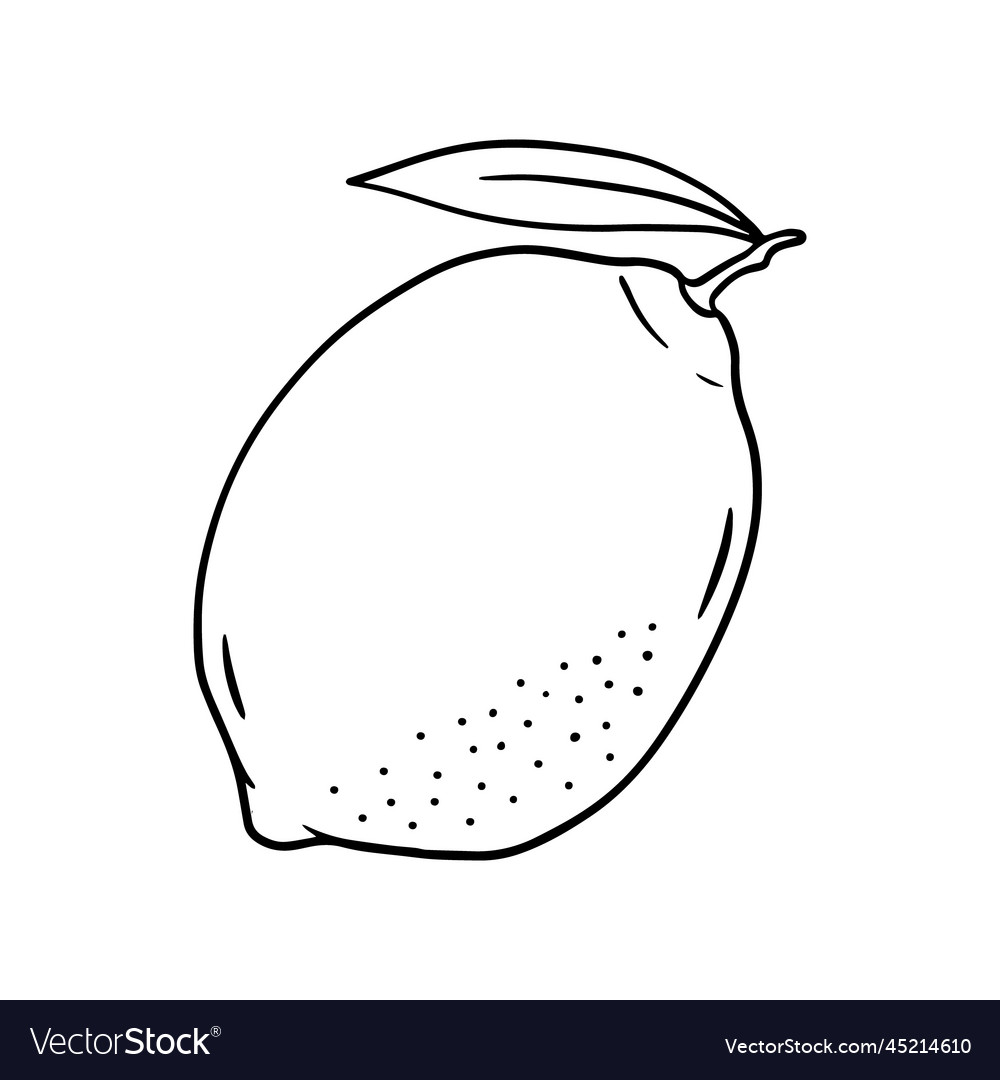 A lemon in hand-drawn style Royalty Free Vector Image