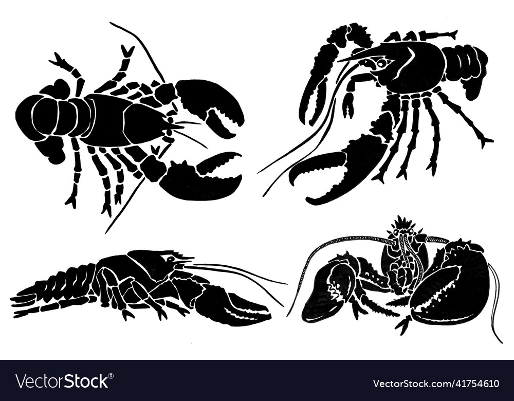 Graphical set of lobsters sea-food elements Vector Image