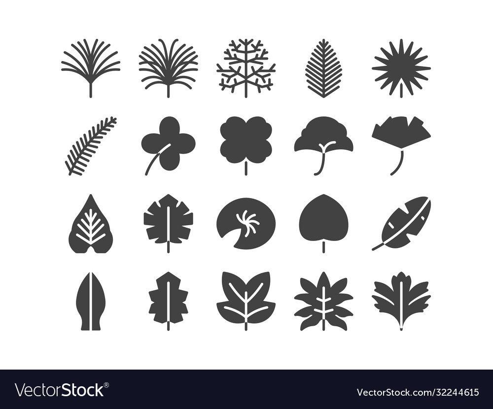 Leaf Solid Glyph Icon Set Spring Concept Minimal Vector Image