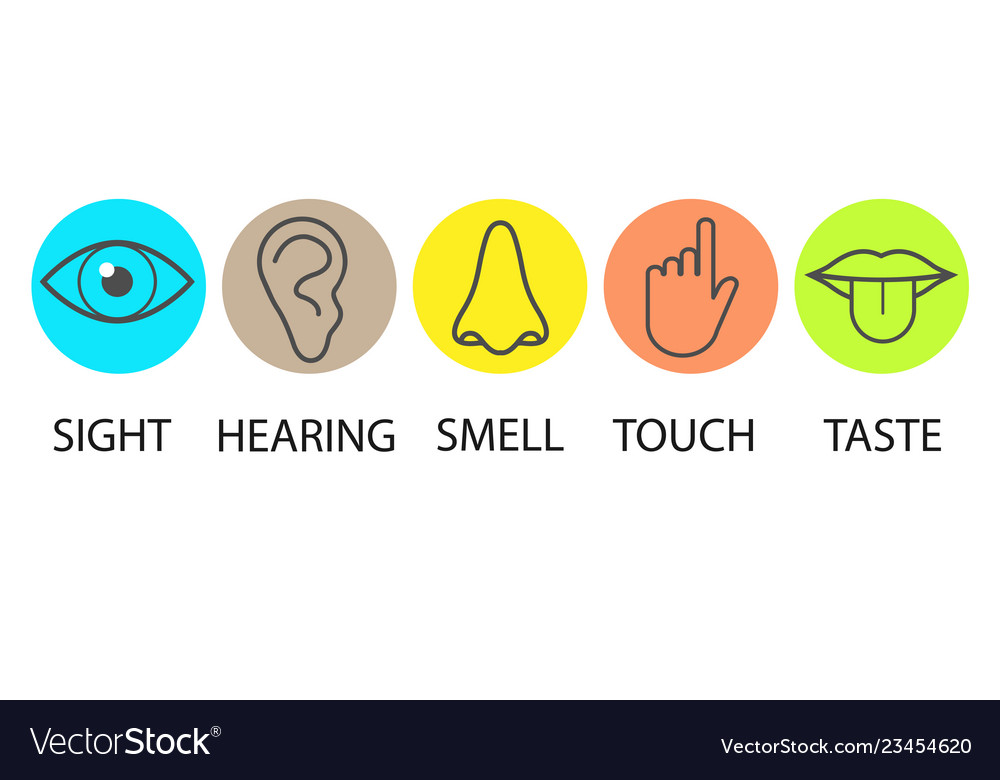 Human senses icon flat Royalty Free Vector Image