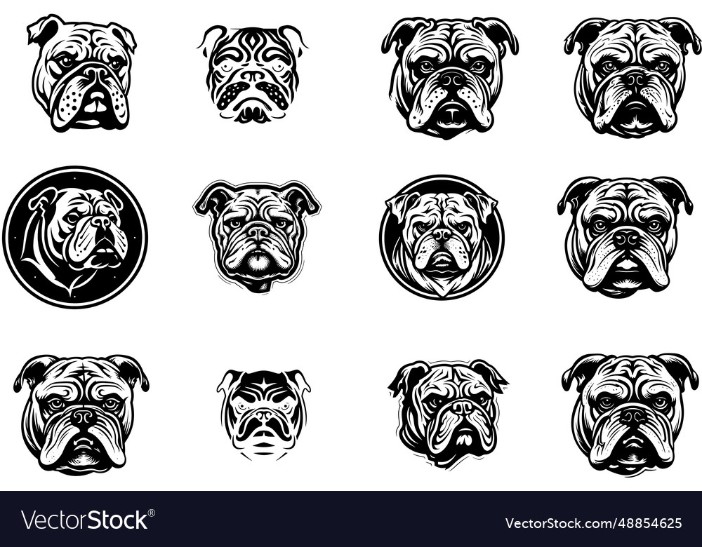 British bulldog breed Royalty Free Vector Image