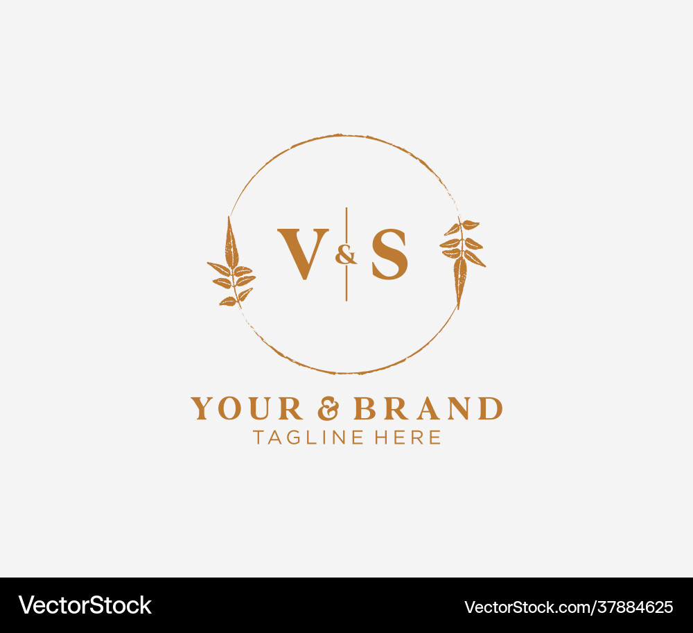 Initial vs letters floral frames botanical Vector Image