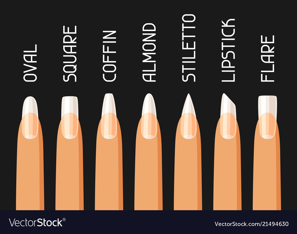 Acrylic nail shapes set Royalty Free Vector Image