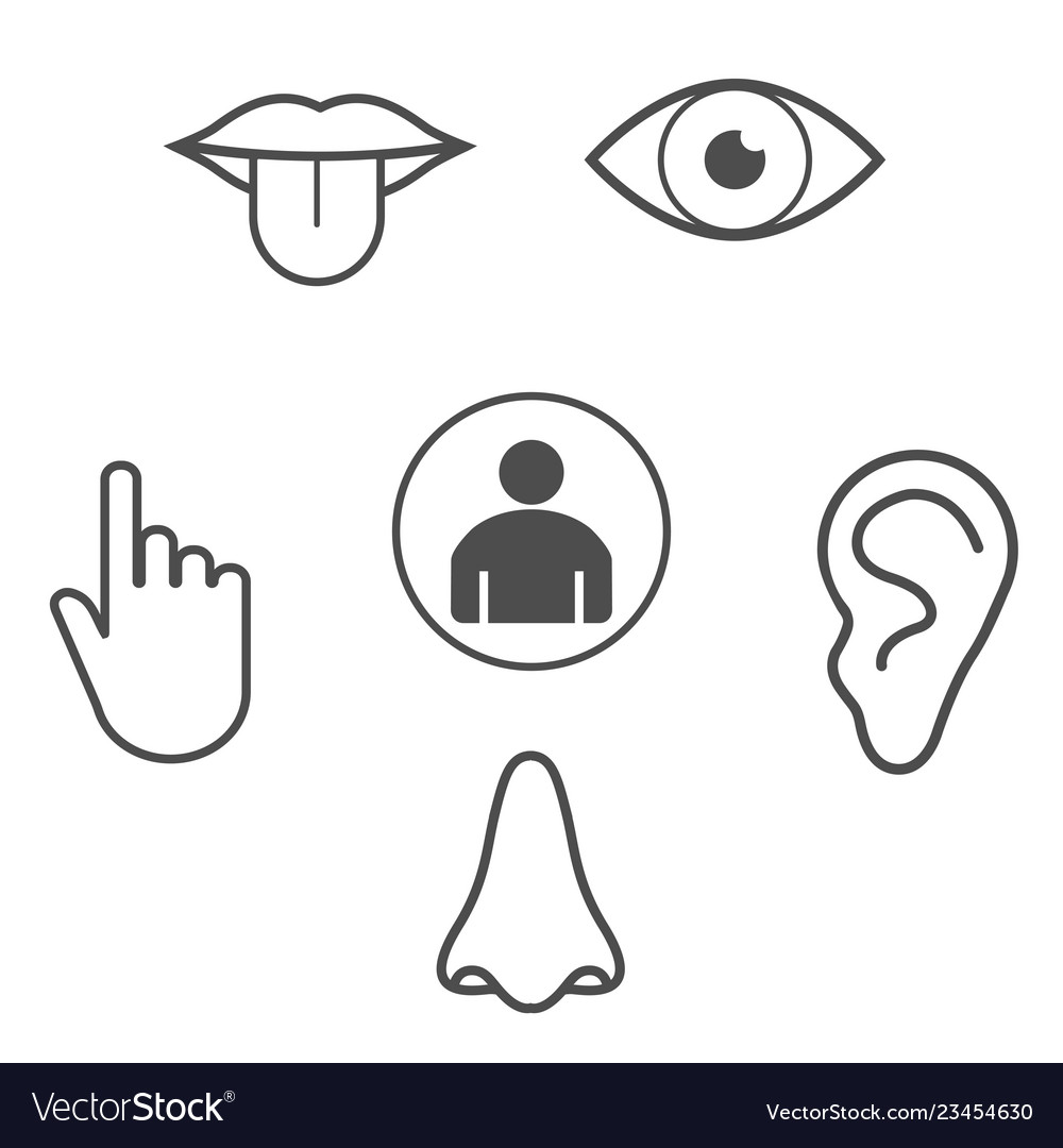 Human senses icon flat Royalty Free Vector Image