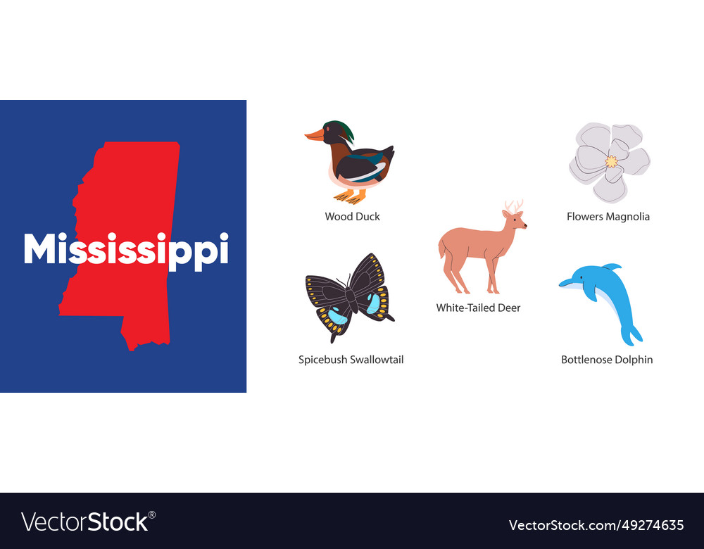 Mississippi states with symbol icon of magnolia