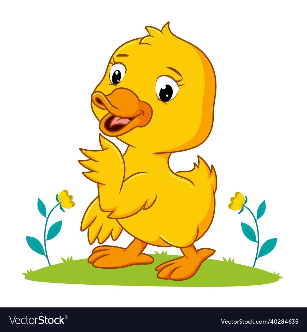 Pretty duck playing in the garden Royalty Free Vector Image