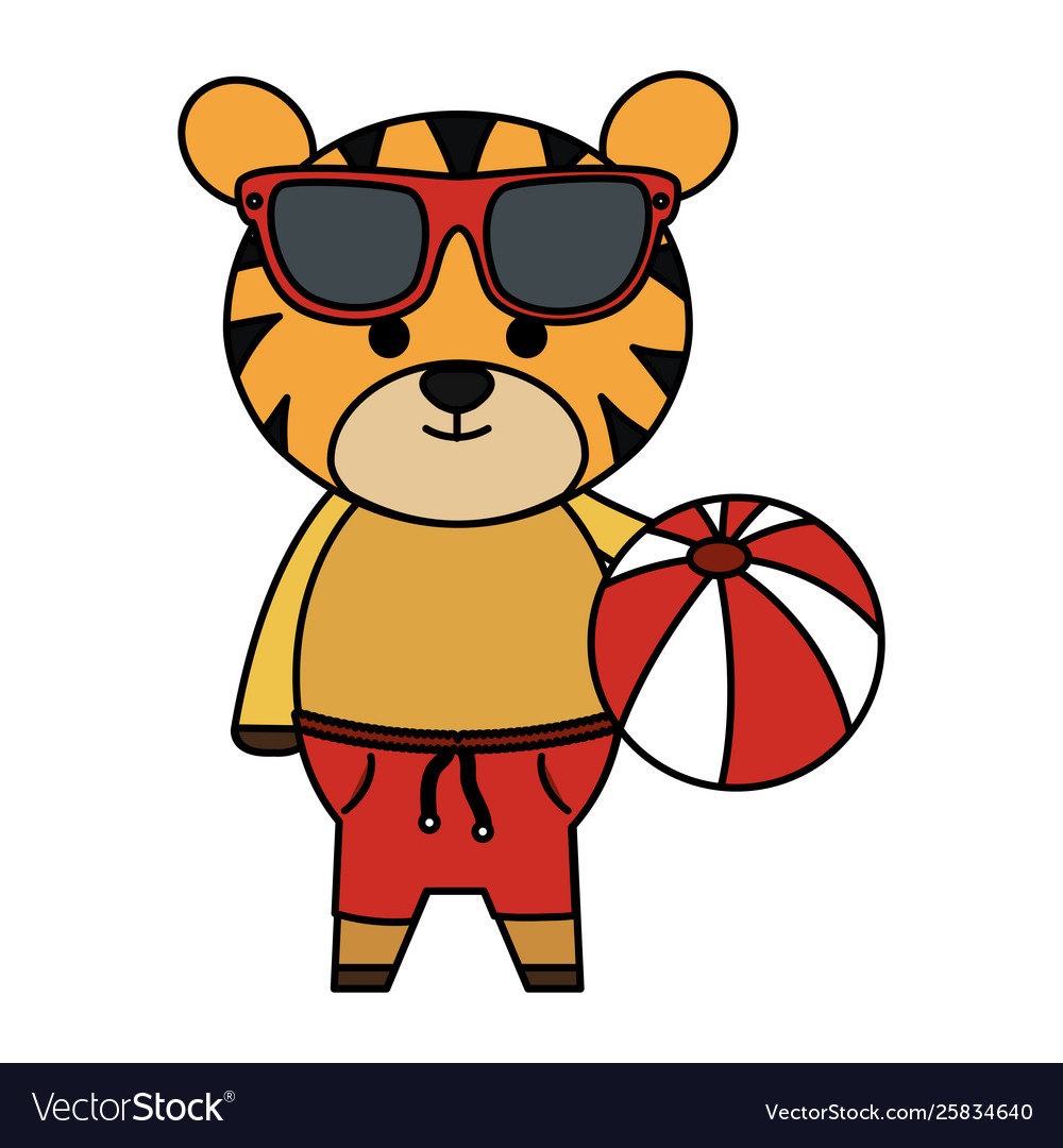 Cute tiger with sunglasses and balloon plastic toy vector image Cute tiger with sunglasses and balloon plastic toy