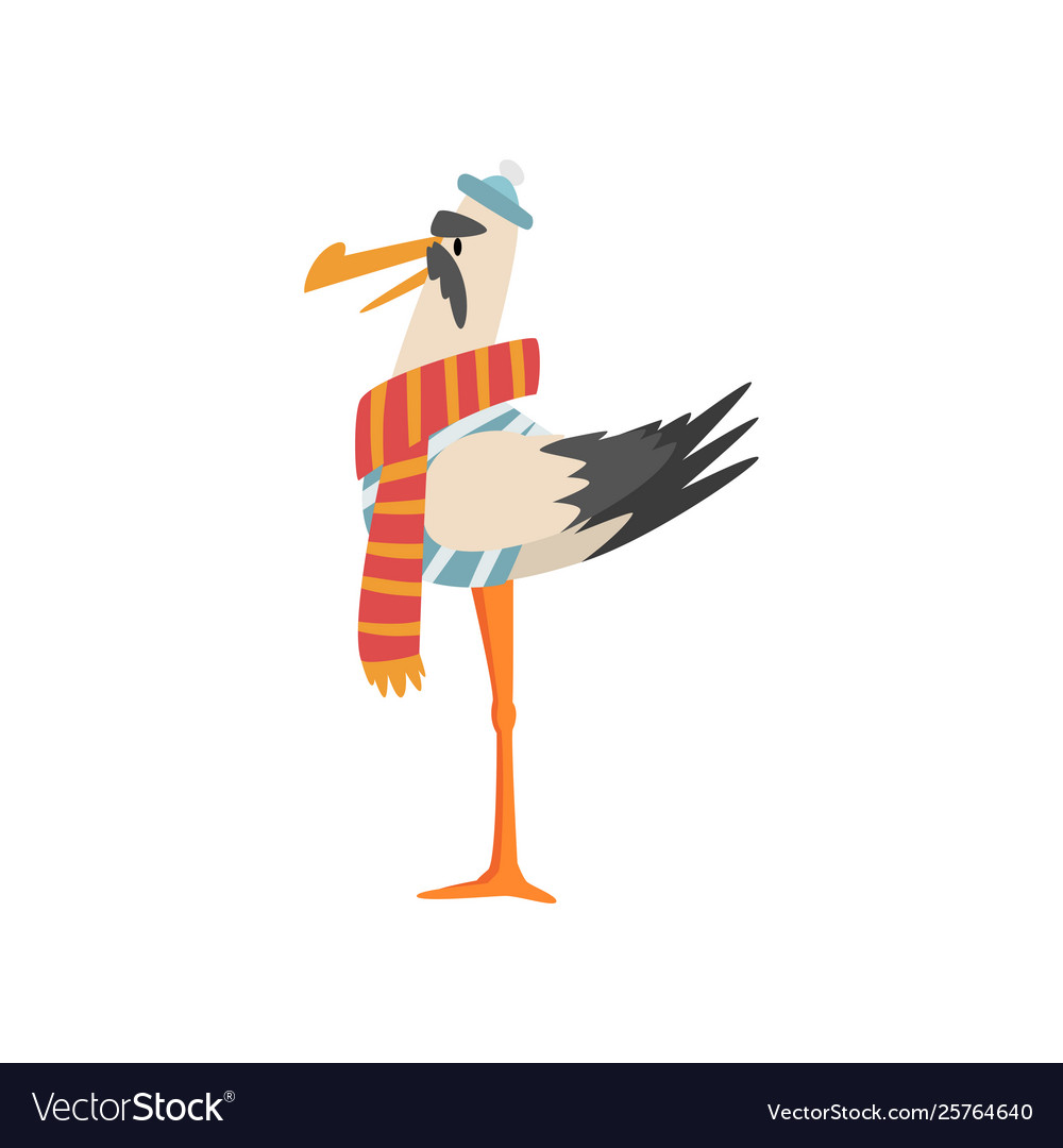 Seagull sailor funny bird cartoon character Vector Image