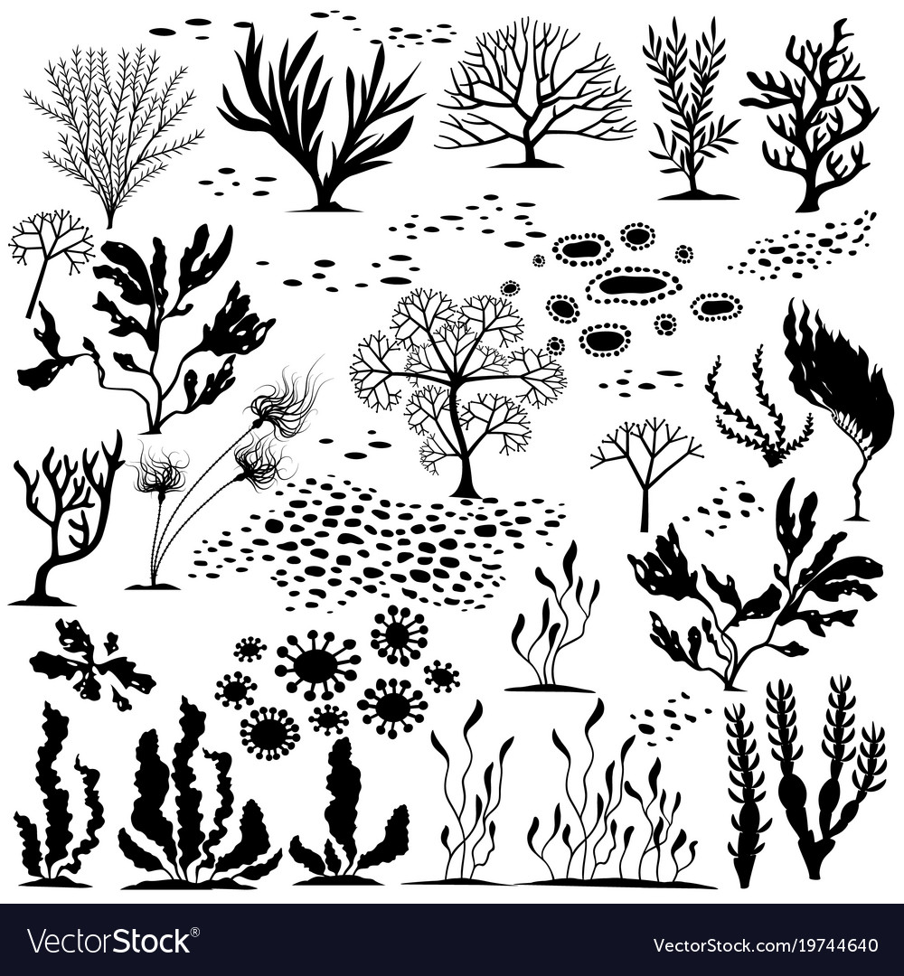 Set handdrawn underwater plants Royalty Free Vector Image