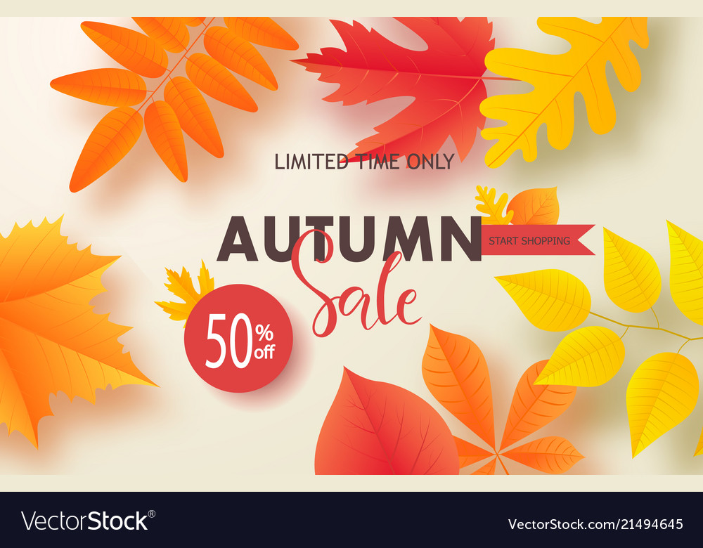 Autumn sale background layout decorate with leaves