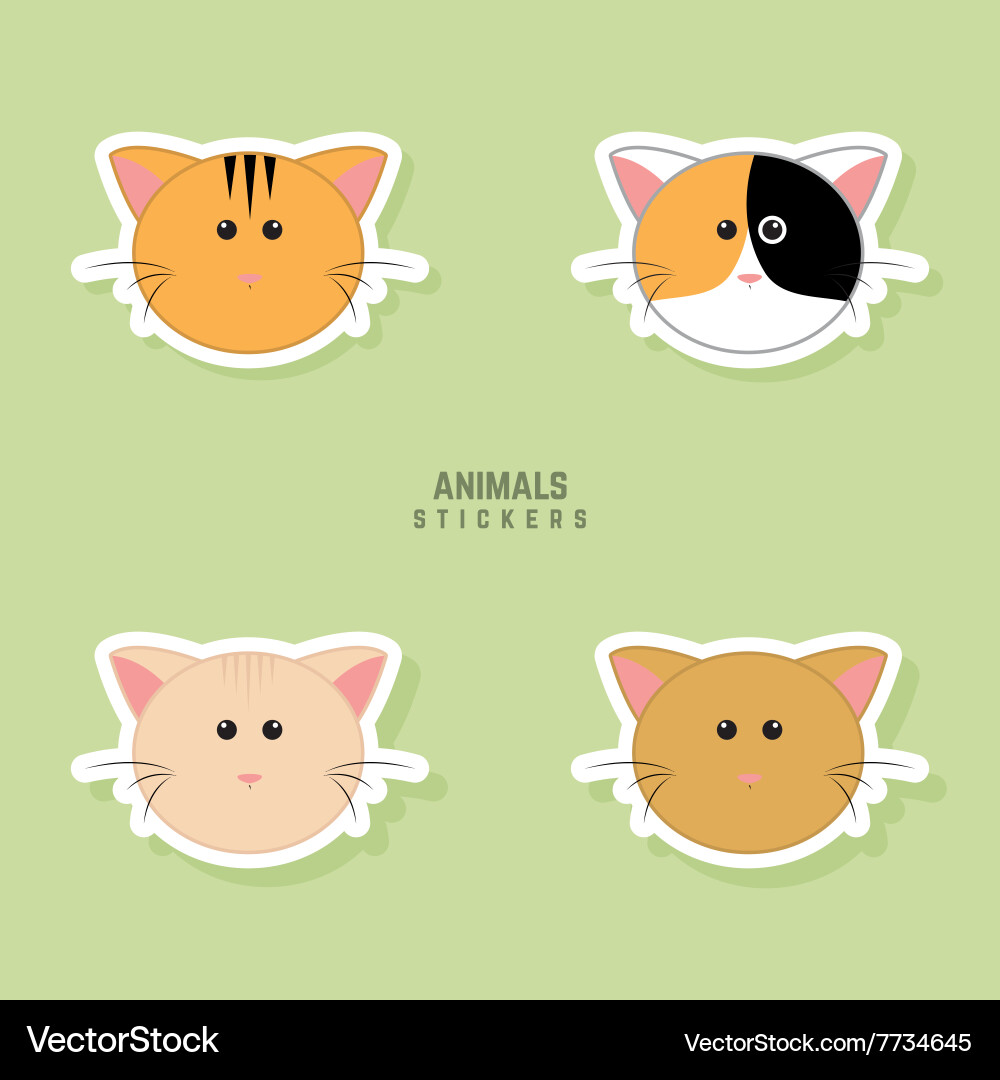 Cute cats faces Royalty Free Vector Image - VectorStock