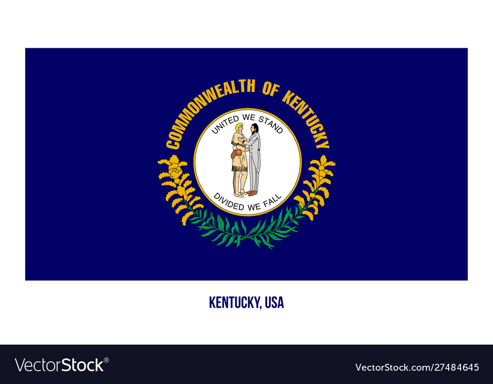 Kentucky flag on white background usa state Vector Image