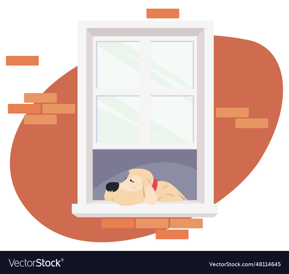 Sad dog in window for internet and mobile website