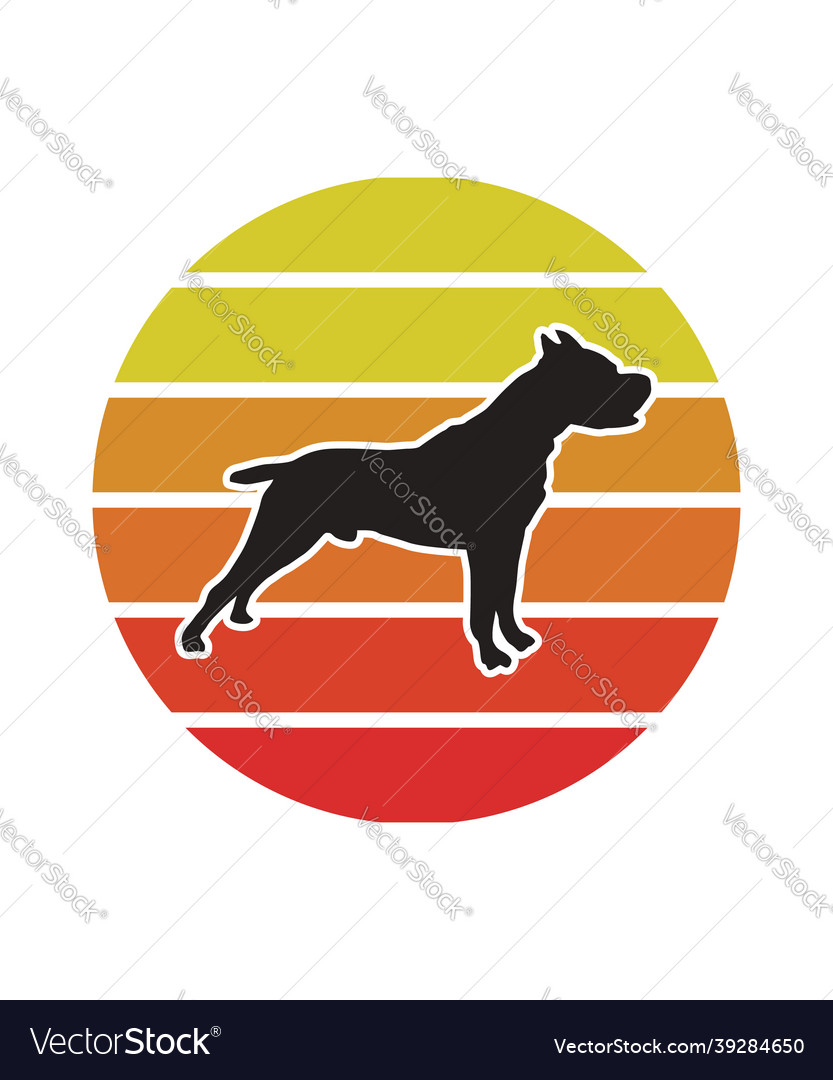 Boxer retro sunset design template